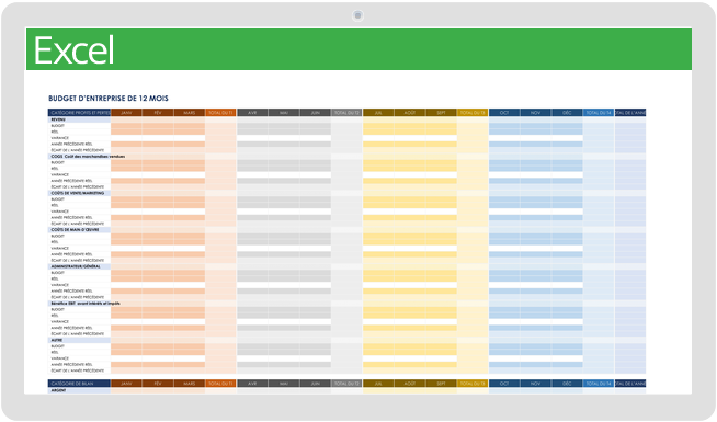Modèle de budget d'entreprise de 12 mois