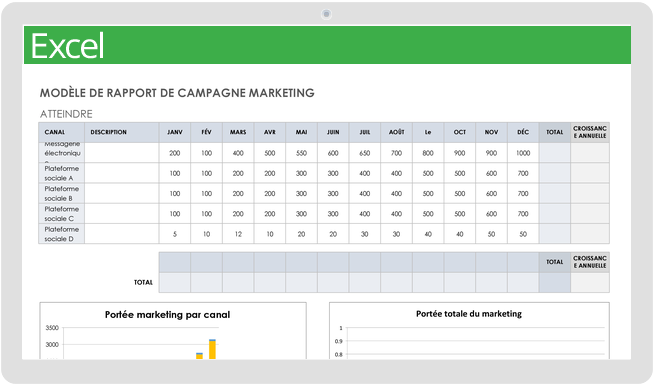 Rapport de campagne marketing